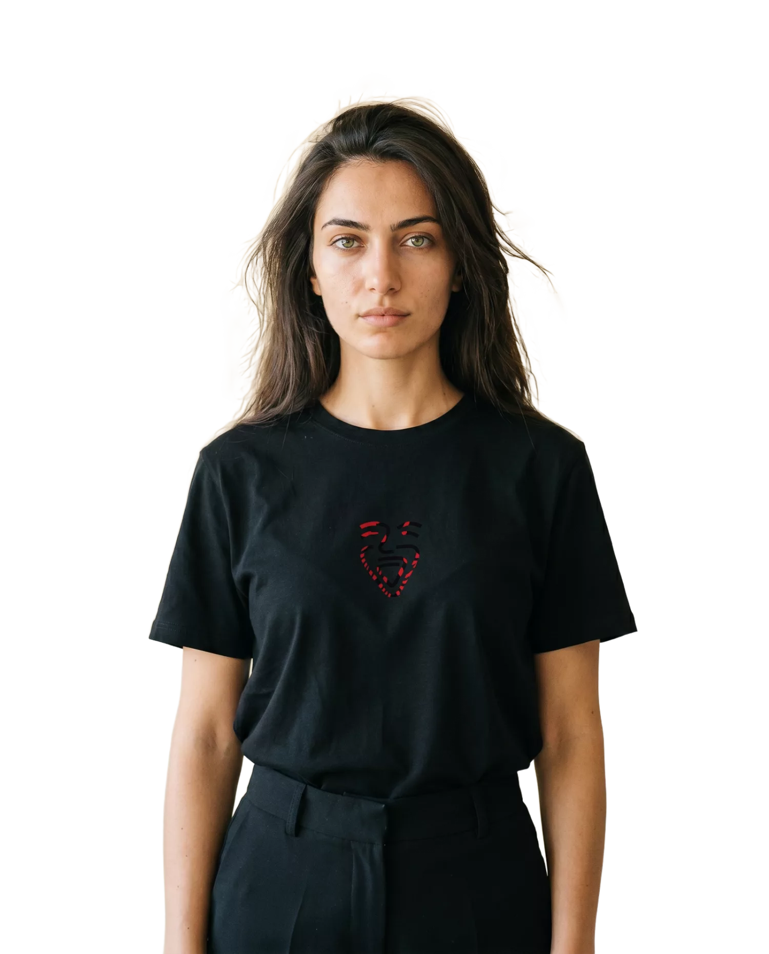 Albania Shirt